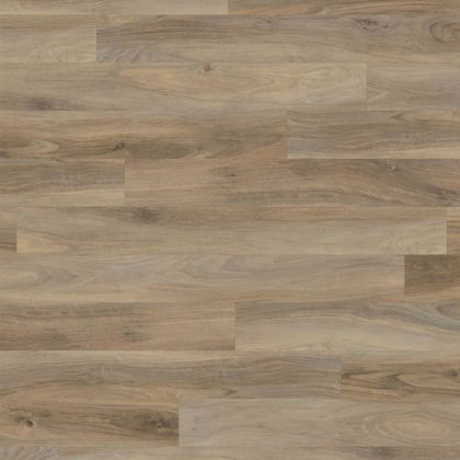 REN113 Weathered Elm