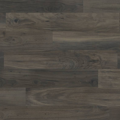 WP330 Tenebra Walnut