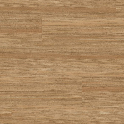 WP416 Linea