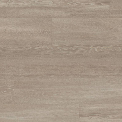 WP418 Pallida