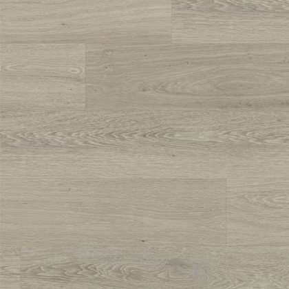 WP423 Avena