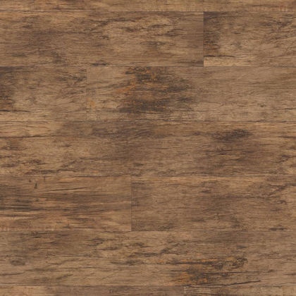 VG1 7 Bracken