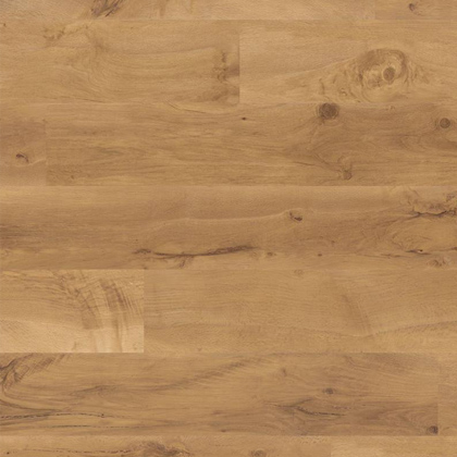 VGW52T Auckland Oak