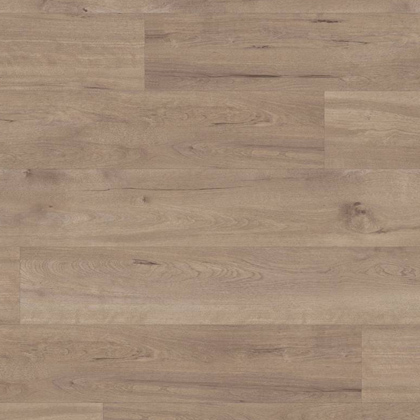 VGW83T Frosted Birch