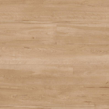 VGW84T Birch